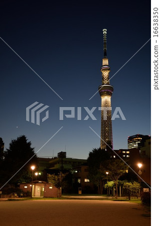 東京天空樹 東京天空樹 16638350