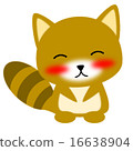 微笑與充分的微笑的浣熊微笑 16638904