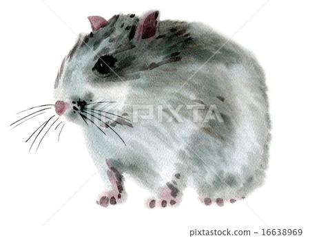 Watercolor illustration of a mouse 16638969