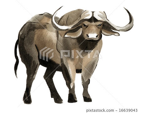 Watercolor illustration of a Buffalo 16639043