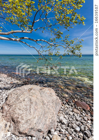 Foundling on shore of the Baltic Sea Foundling on shore of the Baltic Sea 16639587