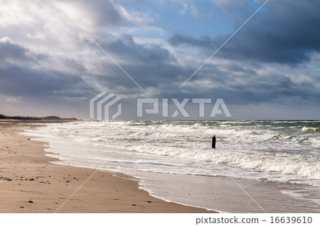 Groynes on shore of the Baltic Sea 16639610