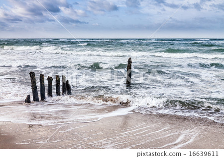 Groynes on shore of the Baltic Sea 16639611