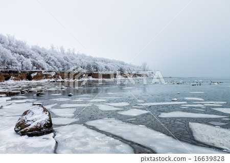 Baltic Sea coast Baltic Sea coast 16639828