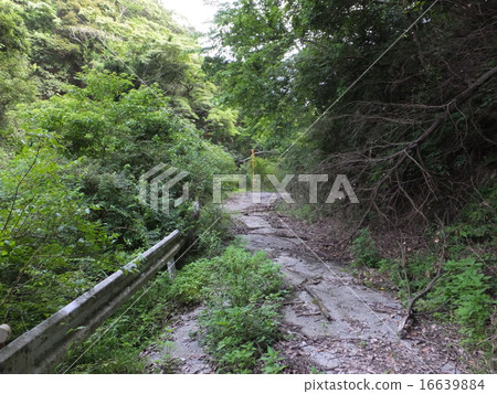 [Chiba] Abandoned National Route 410 16639884