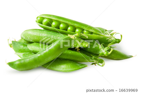 Pile closed pea pods and one open 16639969