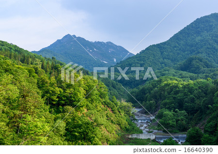 Mountain rain mountain in early summer Mountain rain mountain in early summer 16640390