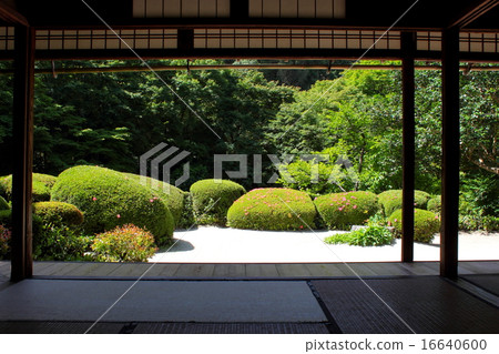 Kyoto Shiseido Kyoto Shiseido 16640600