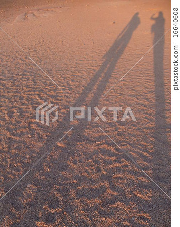 Two people's shadow Two people's shadow 16640608