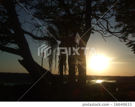 African sunset African sunset 16640633