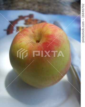 Apple Apple 16640702