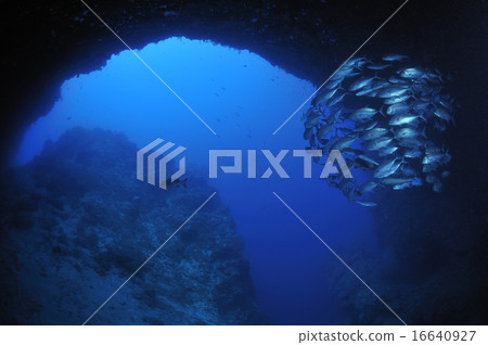 水下洞穴 16640927