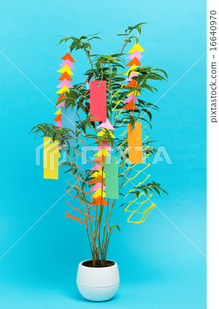 Tanabata decoration 16640970