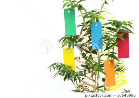 Tanabata decoration 16640996
