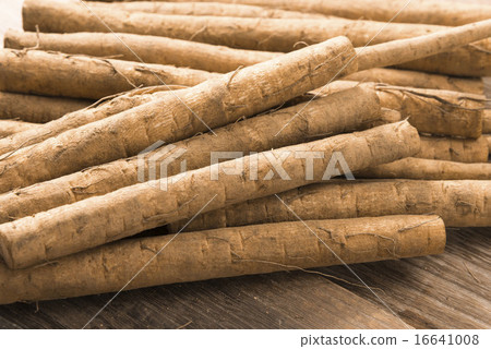 Burdock root 16641008
