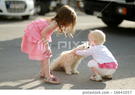 Two girls met a puppy 16641057