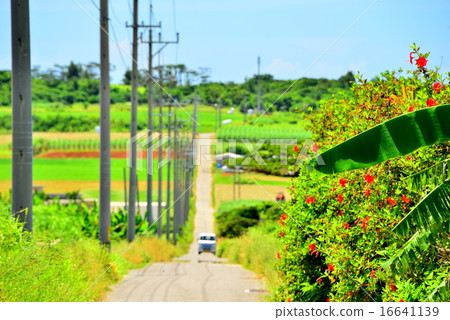 沖繩島遙遠的海島Kohamajima照片的風景圖片 16641139