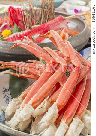 Snow crab 16641169