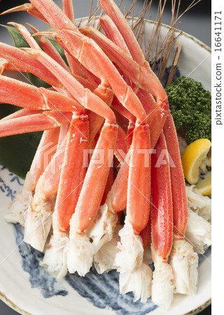 Snow crab 16641171