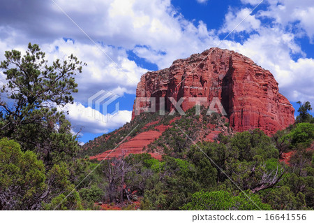 Sedona 16641556