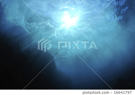 The sun from underwater The sun from underwater 16641797