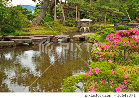 金澤步行：Kenrokuen Yuyuanbashi和Yukimi燈籠 16642371