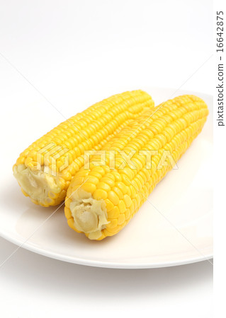 Corn 16642875