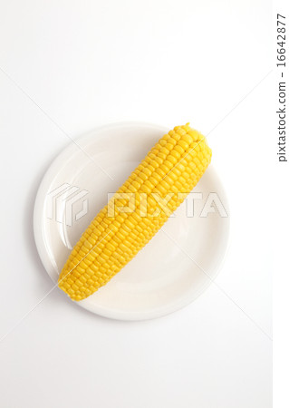 Corn 16642877