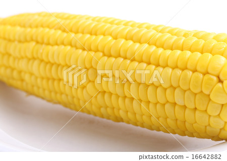 Corn Corn 16642882