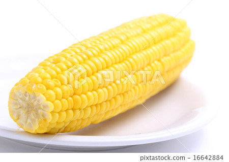 Corn Corn 16642884