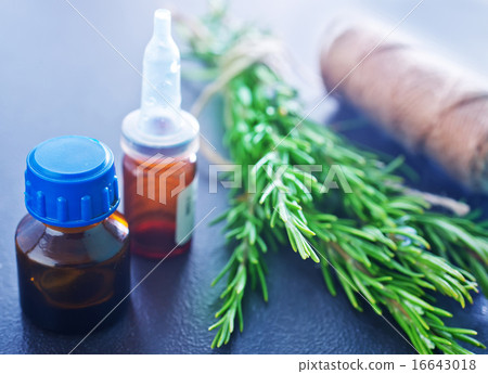rosemary rosemary 16643018