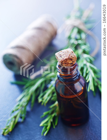 rosemary 16643019
