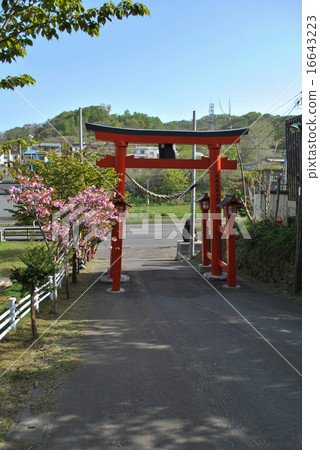 Otaru and Shioya Shrine (spring) 16643223