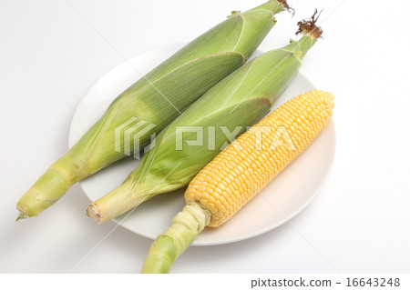 玉米 玉米 16643248