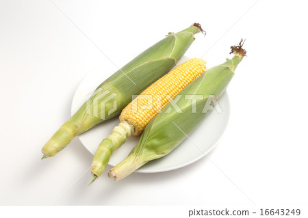 Corn Corn 16643249