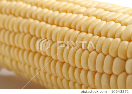 Corn Corn 16643271