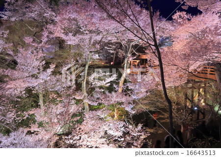 高田城堡廢墟在晚上 16643513