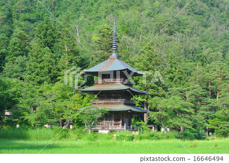 Akutsu Hachiman Shrine三重塔 Akutsu Hachiman Shrine三重塔 16646494