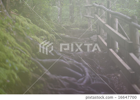 A sidewalk that can be confused in fog. A sidewalk that can be confused in fog. 16647700