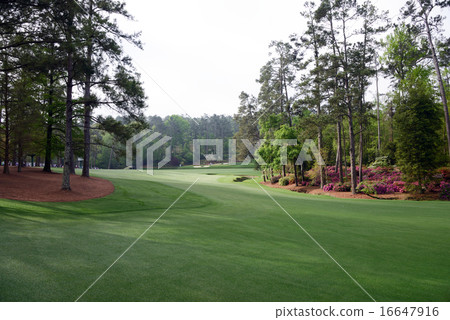 American Golf Course American Golf Course 16647916