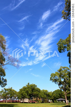 Scenery of Ninomaru Park, Kumamoto castle 16648461