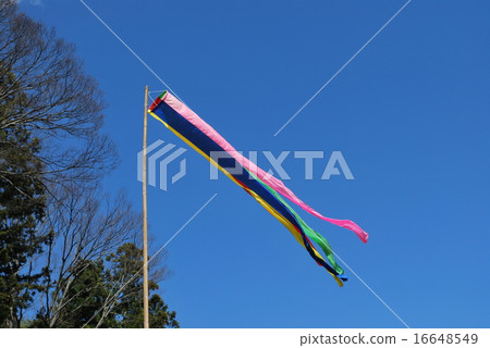 Windsock 16648549