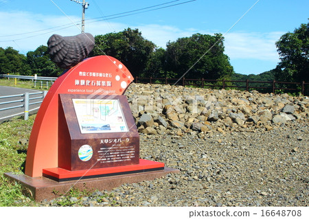 在Goshora島體驗化石 16648708
