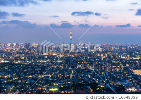 Tokyo night view Tokyo night view 16649359