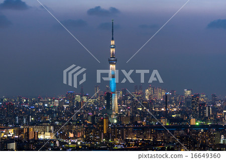 東京夜景 東京夜景 16649360
