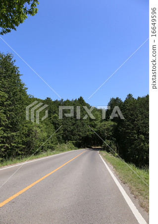 Utsunomiya City Road near Forest Park 16649596