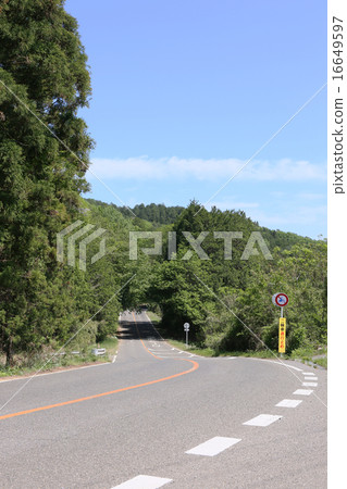 宇都宮市道近森林公園 16649597