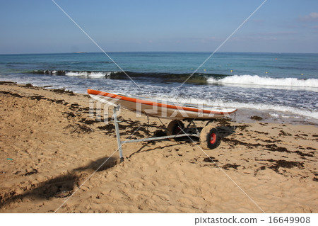 Life accessories Life accessories 16649908