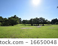 仲夏的Kagaigaoka公園 16650048