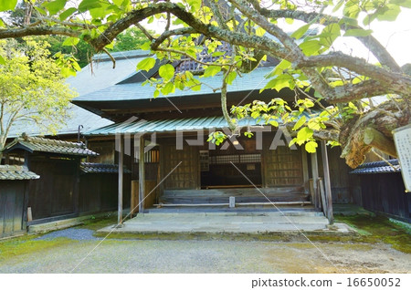 靜岡縣觀光景點觀光信息·在湯澤江谷大廈和古樹的大門內進入禮儀樓·Kisasaga的水平位置 16650052